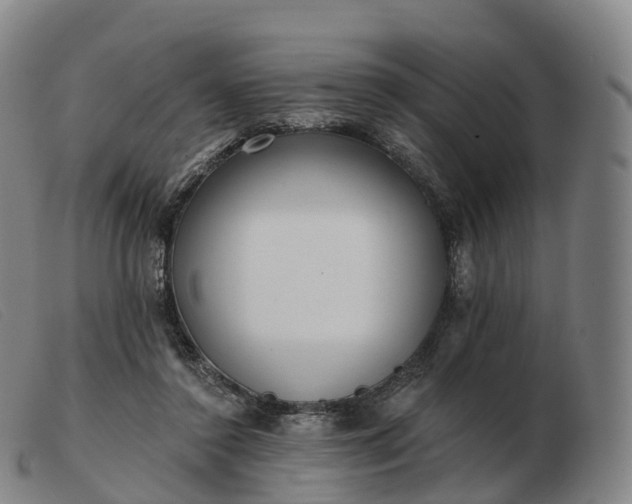 X0000103460356200809191817