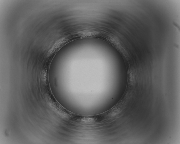 X0000103460357200809191817