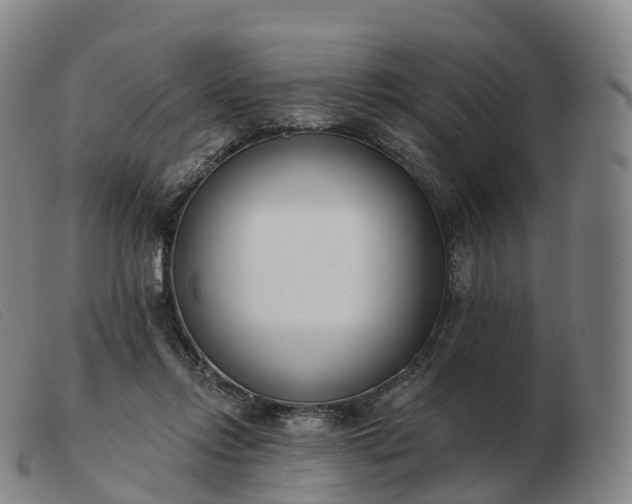 X0000103460358200809191817