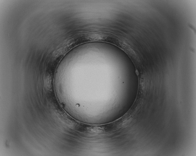 X0000103460359200809191817