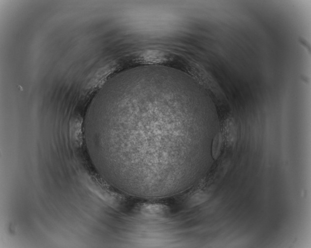 X0000103460360200809191817