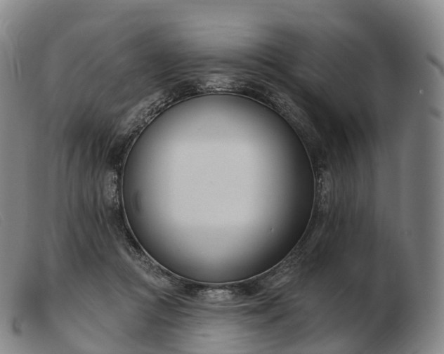 X0000103460361200809191817
