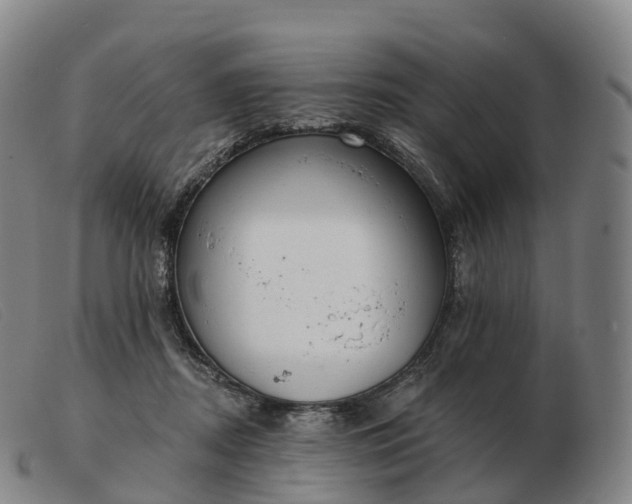 X0000103460362200809191817