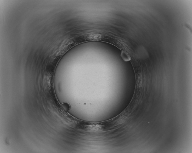 X0000103460363200809191817