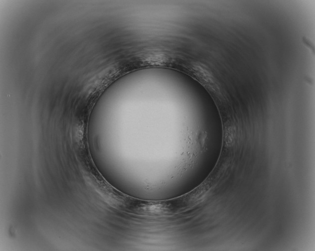 X0000103460365200809191817