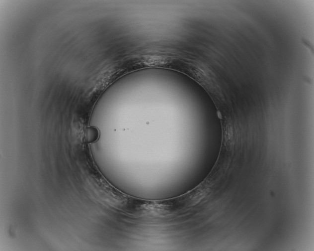 X0000103460367200809191817