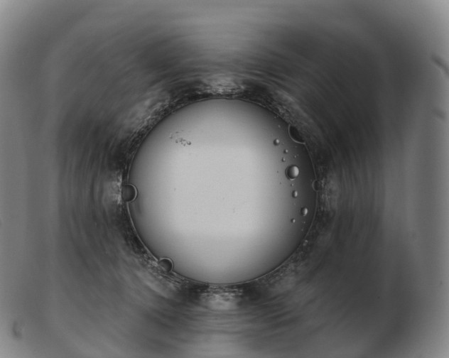 X0000103460368200809191817