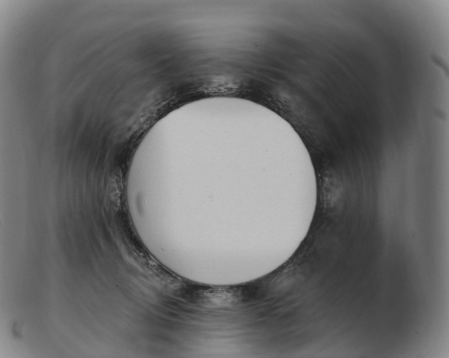 X0000103460370200809191817
