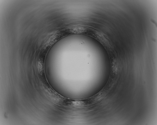X0000103460371200809191817
