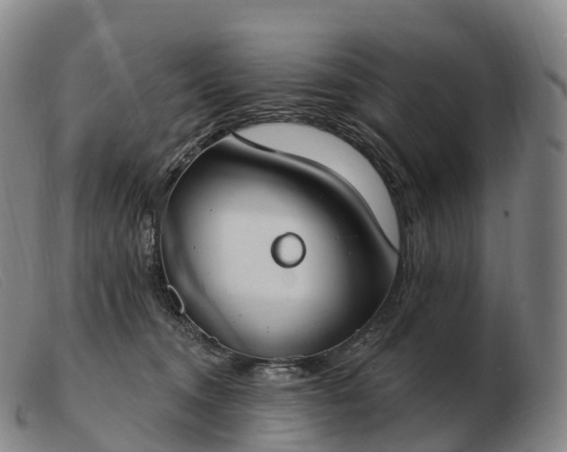 X0000103460372200809191817