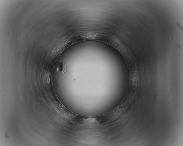X0000103460374200809191817