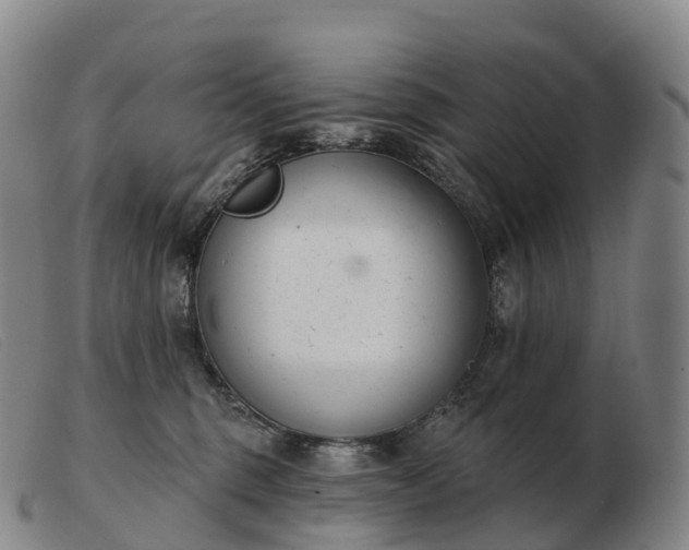 X0000103460375200809191817