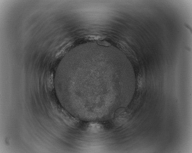 X0000103460376200809191817