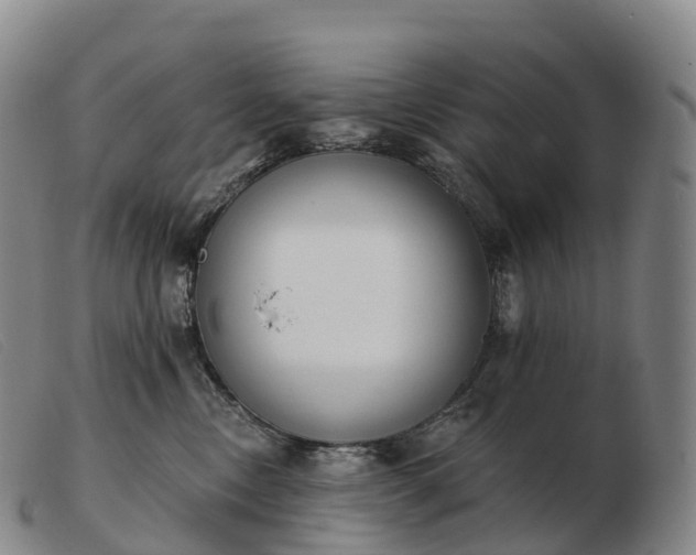 X0000103460378200809191817
