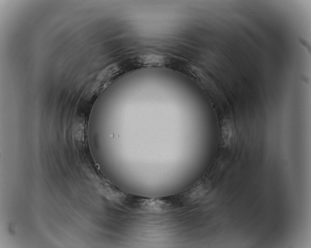 X0000103460379200809191817