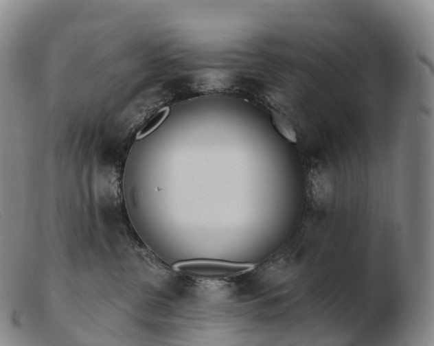 X0000103460380200809191817