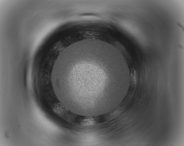 X0000103460381200809191817