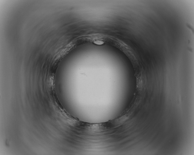 X0000103460382200809191817