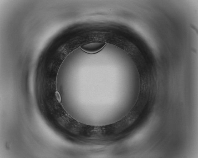 X0000103460383200809191817