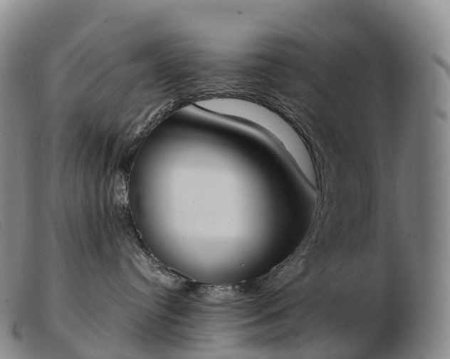 X0000103460384200809191817