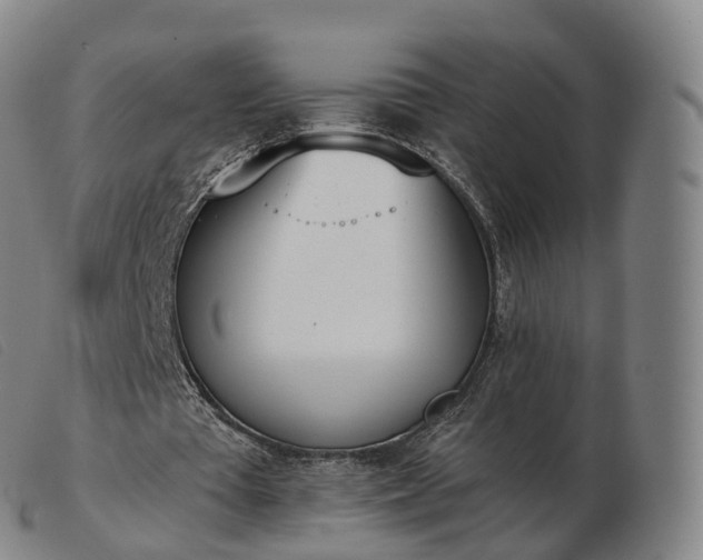 X0000103460385200809191817