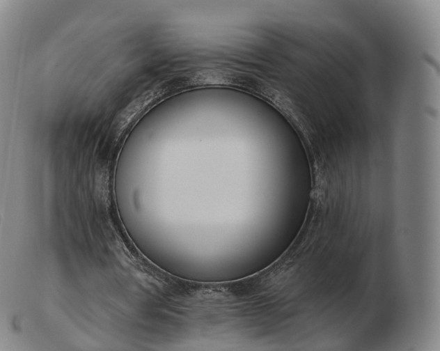 X0000103460386200809191817