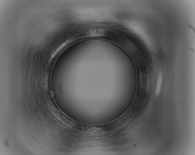 X0000103460387200809191817