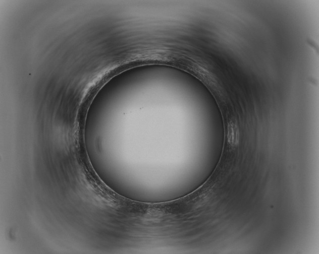 X0000103460388200809191816