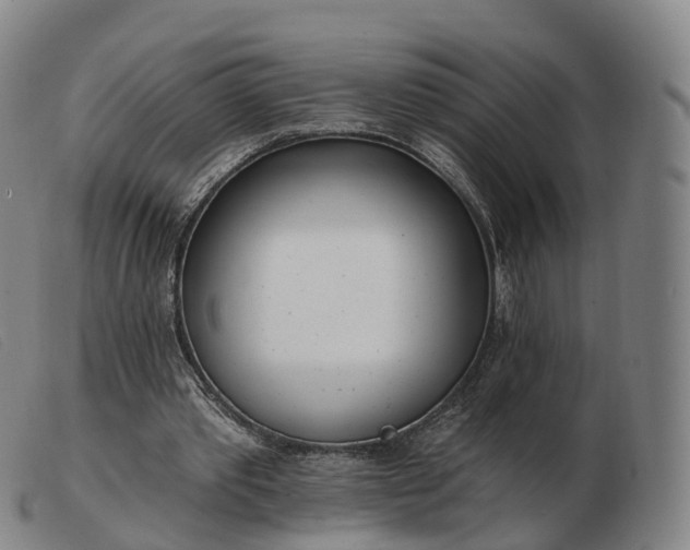X0000103460389200809191816