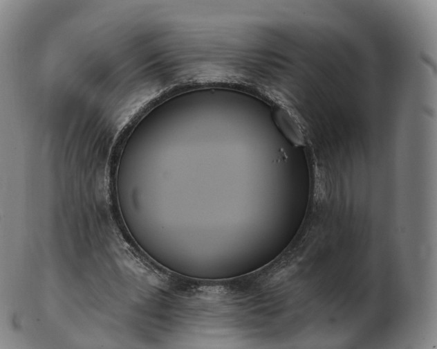 X0000103460391200809191816