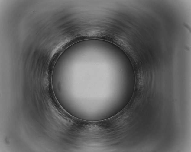 X0000103460392200809191816