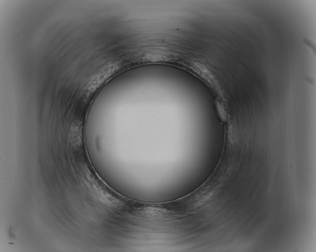 X0000103460393200809191816