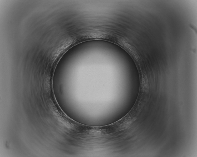 X0000103460394200809191816