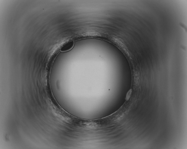 X0000103460395200809191816