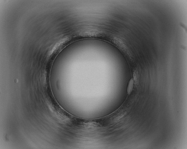 X0000103460396200809191816