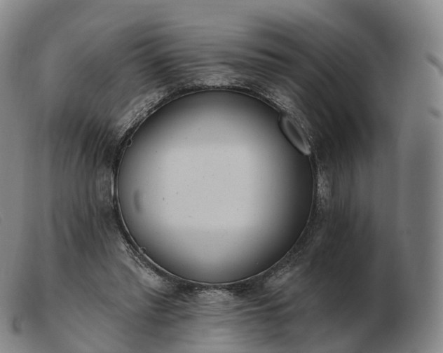 X0000103460397200809191816