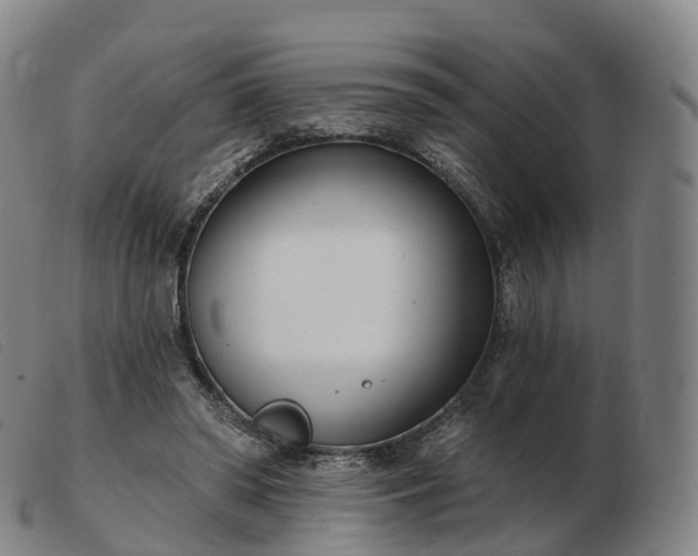 X0000103460398200809191816