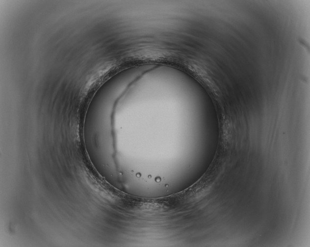 X0000103460399200809191816