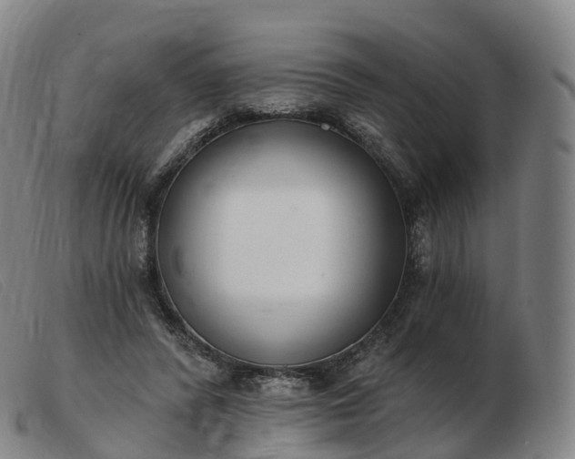 X0000103460400200809191816