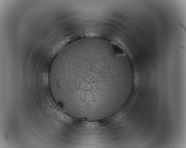 X0000103460401200809191816
