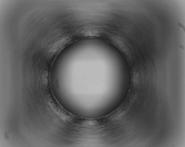 X0000103460402200809191816