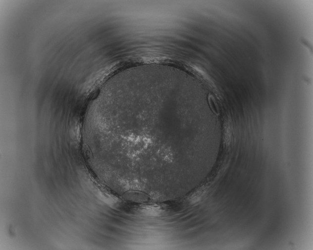X0000103460405200809191816