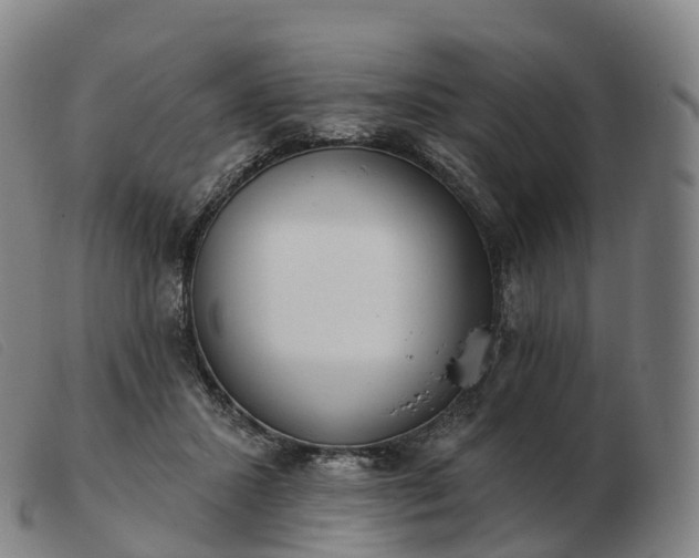 X0000103460407200809191816