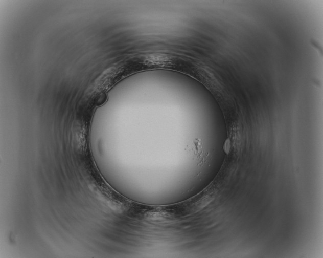 X0000103460408200809191816