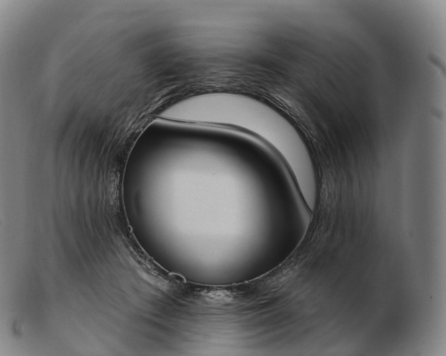 X0000103460409200809191816