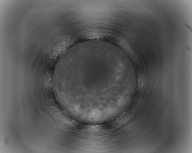X0000103460411200809191816