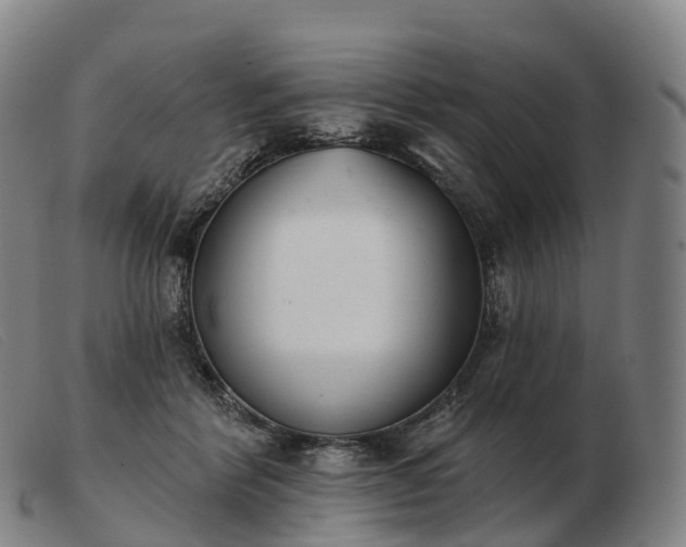 X0000103460412200809191816