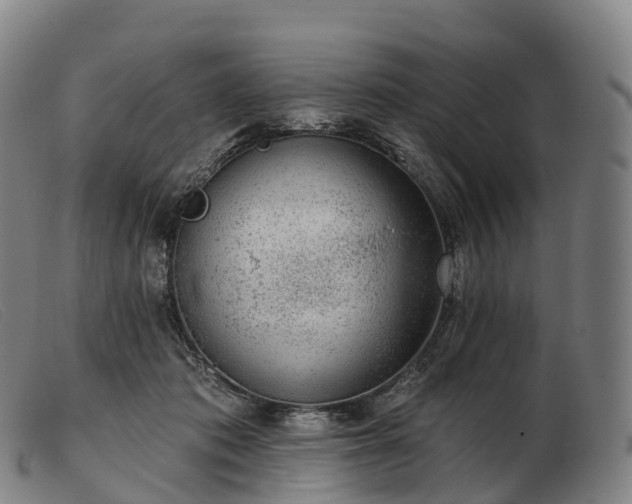 X0000103460413200809191816