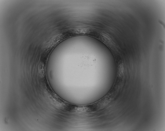 X0000103460414200809191816
