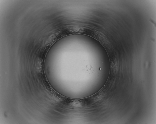 X0000103460416200809191816